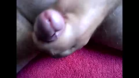 Snapshot of blabla78000 chatting on September 2025 06:46:02 AM blabla78000 online show from September 2025 06:46:02 AM