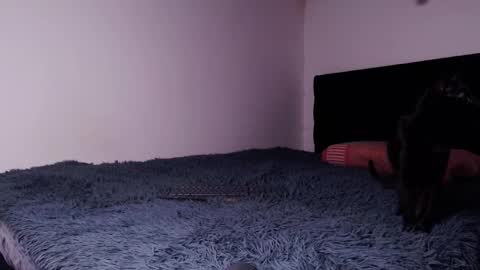 Snapshot of black_firex chatting on October 2025 04:59:02 PM black_firex online show from October 2025 04:59:02 PM