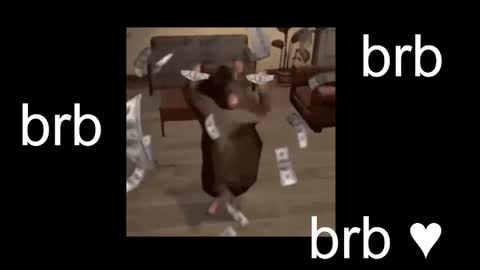  Black Kittie    Wednesday - 1300 - 1900 GMT help me get 100 thumbs up online show from February 2026 01:31:01 PM