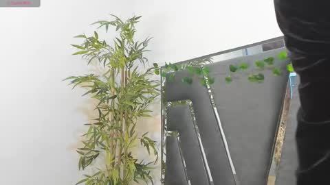 B L A C K  R O S E  online show from February 2025 11:46:02 AM