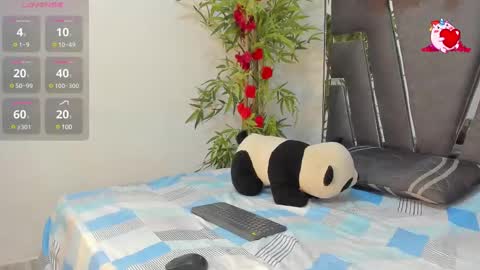 B L A C K  R O S E  online show from February 2025 11:41:02 AM