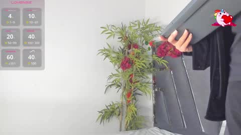 B L A C K  R O S E  online show from March 2025 11:42:02 AM