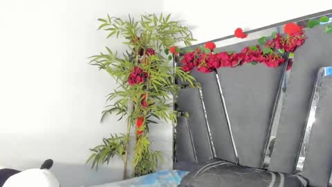 B L A C K  R O S E  online show from March 2025 02:56:01 PM