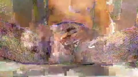 Snapshot of blackbigdickfr chatting on December 2025 12:34:02 PM blackbigdickfr online show from December 2025 12:34:02 PM