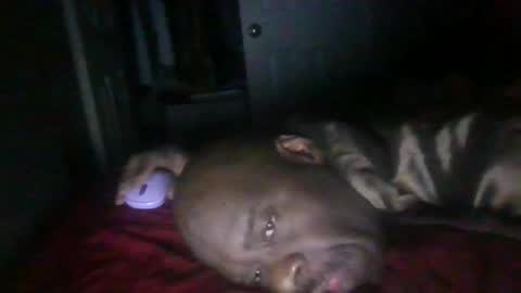 blackteddybear online show from February 2026 11:33:01 AM