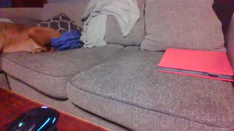 blaw_1321 online show from December 2025 02:05:02 AM