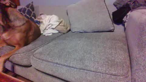 blaw_1321 online show from January 2026 07:04:01 PM