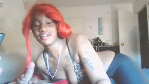 blknoranged33 online show from April 2026 11:46:01 PM