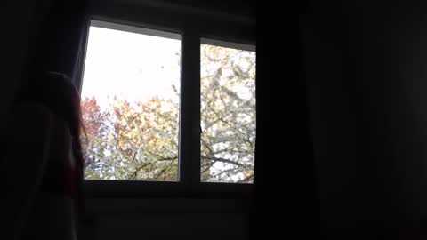 blondyelena online show from April 2026 04:19:02 PM