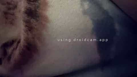 bluealpakka online show from March 2026 04:40:01 AM