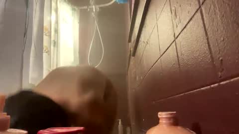 Snapshot of bmfkarijo chatting on November 2025 09:44:02 AM LovelyJolene online show from November 2025 09:44:02 AM