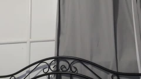 bob online show from December 2024 10:28:02 AM