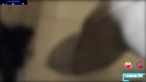 Snapshot of bob_pettersonn chatting on December 2025 04:46:02 PM Bob INDEPENDENT MODEL online show from December 2025 04:46:02 PM