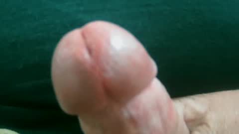 bobrossisalive online show from February 2026 07:54:01 PM