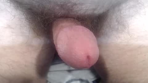 bobswan online show from October 2025 03:41:01 PM