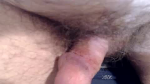 bobswan online show from March 2026 01:59:01 PM