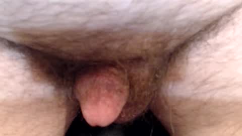 bobswan online show from April 2026 06:35:01 PM