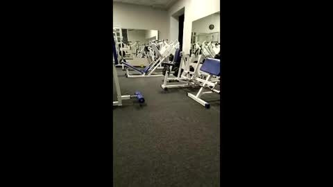 BODI online show from April 2026 05:54:02 PM