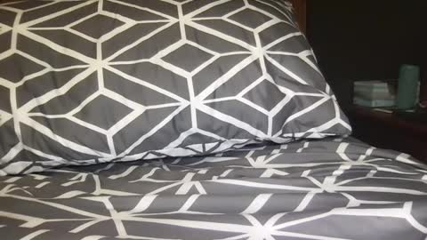 Snapshot of boldlust chatting on December 2024 02:52:01 AM boldlust online show from December 2024 02:52:01 AM