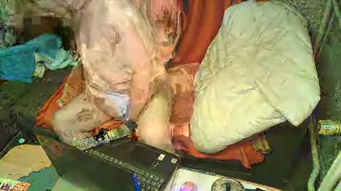 Snapshot of bomber59potsdam chatting on January 2025 09:32:02 PM Bomber59potsdam online show from January 2025 09:32:02 PM