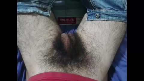 Im Bom - Tip if You Liked my Hairy Body - Private Show is Open - Read more about me in the bio below online show from November 2025 01:24:02 PM