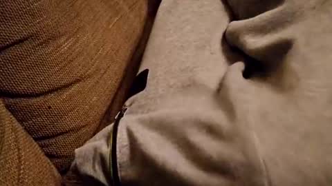 Snapshot of bonny8723 chatting on February 2025 07:20:02 PM bonny8723 online show from February 2025 07:20:02 PM