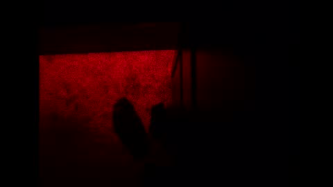 Snapshot of bonny8723 chatting on November 2025 10:21:02 PM bonny8723 online show from November 2025 10:21:02 PM