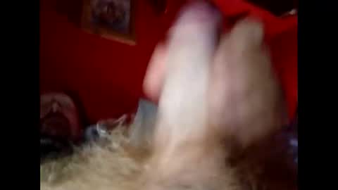 Snapshot of bonzoband chatting on December 2024 10:05:02 AM bonzoband online show from December 2024 10:05:02 AM