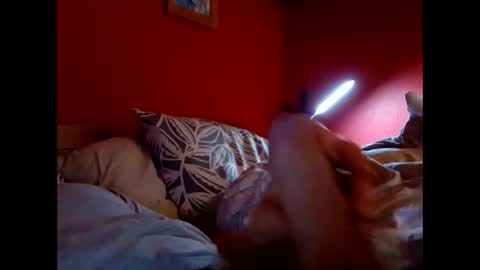 Snapshot of bonzoband chatting on February 2026 11:25:02 AM bonzoband online show from February 2026 11:25:02 AM