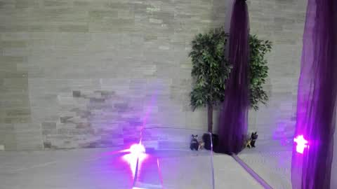 boobzilla_ online show from February 2026 05:50:02 AM