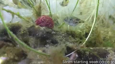 Booker Baxton online show from November 2025 04:02:02 AM