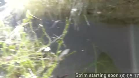 Booker Baxton online show from November 2025 04:03:02 AM