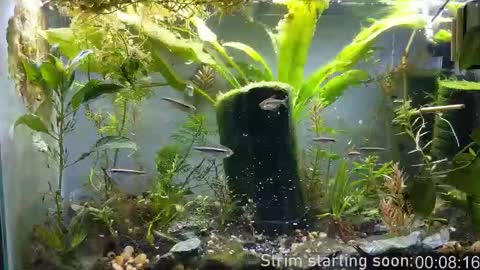 Booker Baxton online show from December 2025 03:59:01 AM