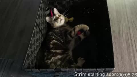 Booker Baxton online show from January 2026 04:04:02 AM