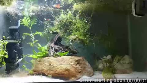 Booker Baxton online show from February 2026 04:02:01 AM