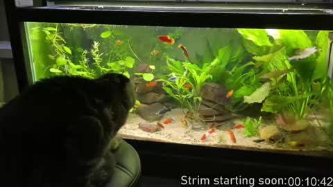 Booker Baxton online show from March 2026 02:58:02 AM