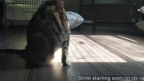 Booker Baxton online show from April 2026 03:02:01 AM