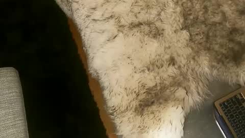 Snapshot of booty_andthe_beast chatting on March 2025 02:25:02 AM Kim and Kooper online show from March 2025 02:25:02 AM