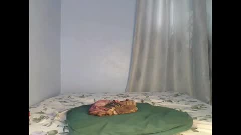 Snapshot of booty_panther chatting on September 2025 06:50:02 AM sandrah online show from September 2025 06:50:02 AM