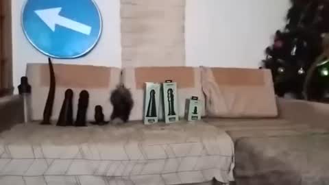 Bes7assquirt online show from February 2025 07:14:02 PM