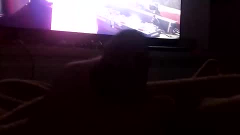 Snapshot of boytop696 chatting on October 2025 03:05:02 AM Boytop online show from October 2025 03:05:02 AM