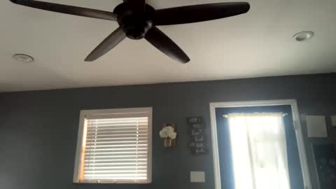 boytoy8969 online show from January 2025 04:18:02 PM