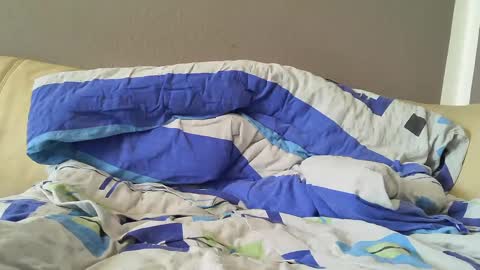 bramer8787 online show from February 2025 09:00:02 AM