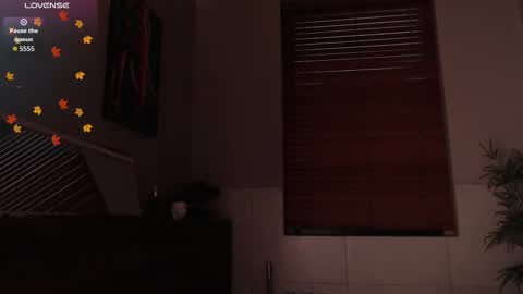 brandon_starkk online show from February 2026 11:51:01 AM