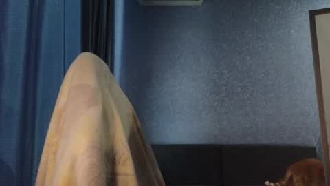 Snapshot of brandy__stars chatting on November 2025 04:56:01 AM Belle online show from November 2025 04:56:01 AM