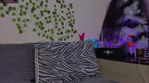 Johny Bravo online show from January 2026 08:03:02 PM