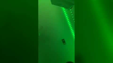 brennab online show from April 2026 01:42:02 AM