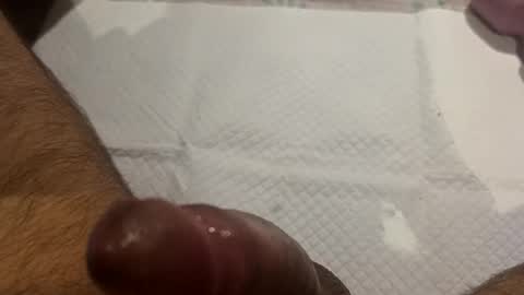 brenno95 online show from February 2026 11:11:02 AM