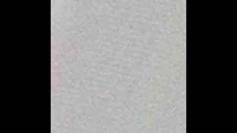 Snapshot of bretday chatting on February 2026 08:40:01 AM fresh meats online show from February 2026 08:40:01 AM