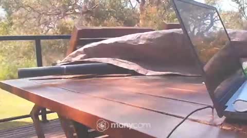 Fun Monster online show from October 2025 01:15:01 AM